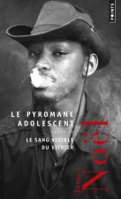 Le Pyromane adolescent suivi de Le Sang visible du vitrier