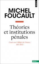 Théories et institutions pénales