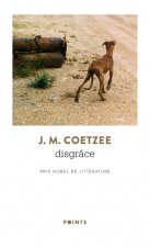 Disgrâce ((Réédition 50 ans))