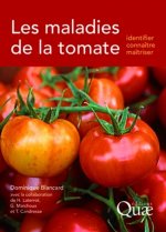 Les maladies de la tomate