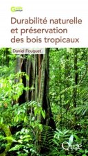 Durabilité naturelle et préservation des bois tropicaux