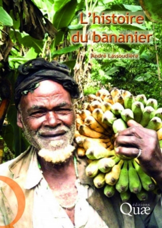 Histoire du bananier