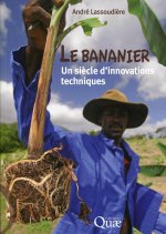 Le bananier : un siècle d'innovations techniques