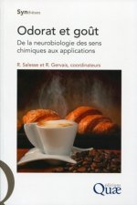 Odorat et goût