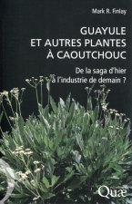 Guayule et autres plantes à caoutchouc