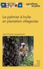 Le palmier à huile en plantation villageoise