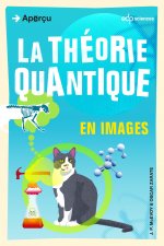 theorie quantique en images (la)