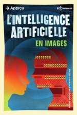 intelligence artificielle en images (l')