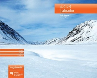 LABRADOR