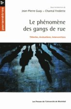 LE PHENOMENE DES GANGS DE RUES. THEORIES, EVALUATIONS, INTERVENTIONS