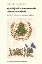 Quelle justice internationale au Proche-Orient ?