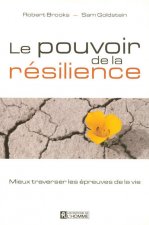 POUVOIR DE LA RESILIENCE