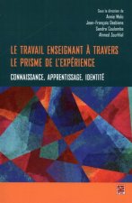 LE TRAVAIL ENSEIGNANT A TRAVERS LE PRISME DE L'EXPERIENCE