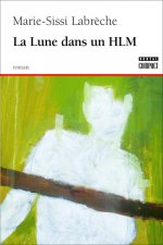 La Lune dans un HLM