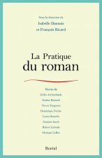 La Pratique du roman