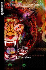 DIVERSION