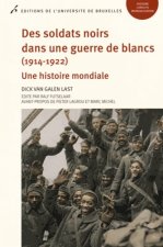 DES SOLDATS NOIRS DANS UNE GUERRE DE BLANC (1914-1922). UNE HISTOIRE MONDIALE