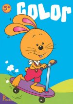 COLOR LAPIN