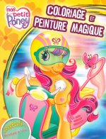 COLOR PEINTURE MAGIQ PT PONEY