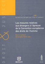 LES MESURES RELATIVES AUX ÉTRANGERS À L'ÉPREUVE DE LA CONVENTION EUROPÉENNE DES