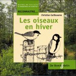 Les oiseaux en hiver