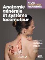Atlas d'anatomie Prométhée