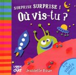 SURPRISE SURPRISE ! OU VIS-TU ?