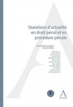 QUESTIONS D ACTUALITE EN DROIT PENAL ET EN PROCEDURE PENALE
