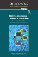 IDENTITES AMERICAINES RELATIONS ET INTERACTIONS / AMERICAN IDENTITY IN RELATION