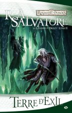 La Légende de Drizzt, T2 : Terre d'exil