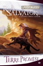 La Légende de Drizzt, T3 : Terre promise