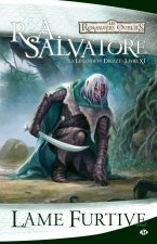 La Légende de Drizzt, T11 : Lame furtive