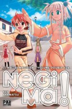 Negima ! Le Maître Magicien T11 & T12