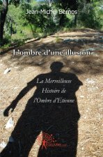 L'ombre d'une illusion