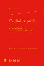 Capital et profit