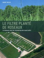 Le filtre planté de roseaux