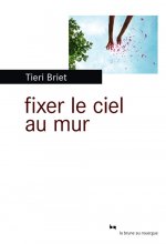 FIXER LE CIEL AU MUR