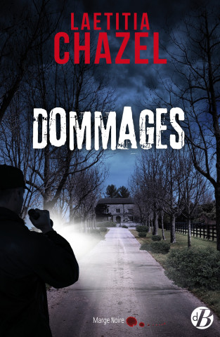 Dommages