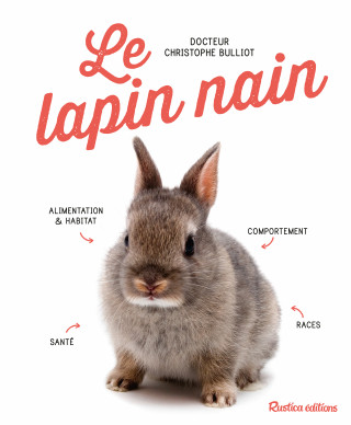 Le lapin nain