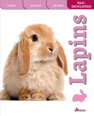 Lapins