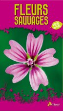 Fleurs sauvages
