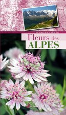 Fleurs des Alpes