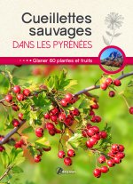 Cueillettes sauvages dans les Pyrénées