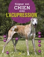 Soigner son chien avec l'acupression