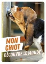 mon chiot decouvre le monde