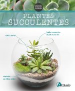 Plantes succulentes