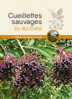 Cueillettes sauvages en Aquitaine