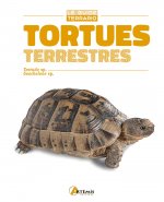 Tortues terrestres