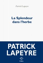 La splendeur dans l'herbe