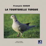 La Tourterelle turque